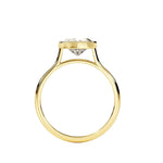 Heart shape Moissanite lab grown diamond engagement ring round shank with a bezel setting, on a gold band, against a white background.Moissanite engagement ring cape town south africa grand diamonds ralph jacobs jeulia "