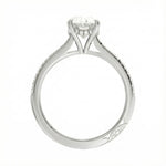 Engagement ring with oval cut moissanite or lab grown diamond solitaire four cat claw hidden halo with pave set band in yellow rose or white gold hidden double halo and pave set shank Cape Town South Africa grand diamonds ralph jacobs jeuli