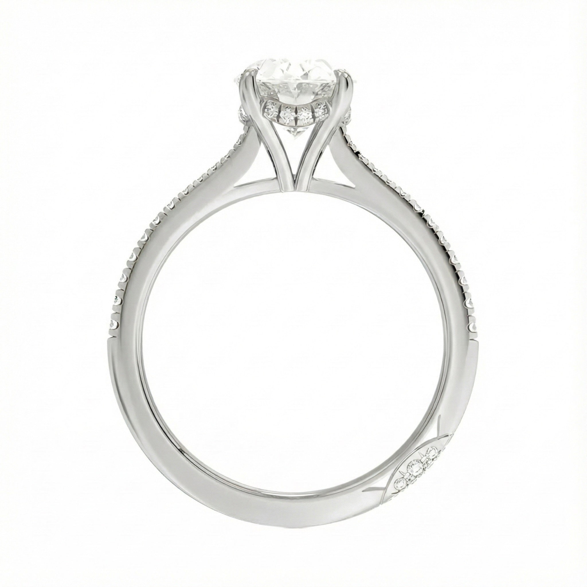 Engagement ring with oval cut moissanite or lab grown diamond solitaire four cat claw hidden halo with pave set band in yellow rose or white gold hidden double halo and pave set shank Cape Town South Africa grand diamonds ralph jacobs jeuli