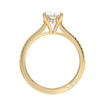 Engagement ring with oval cut moissanite or lab grown diamond solitaire four cat claw hidden halo with pave set band in yellow rose or white gold hidden double halo and pave set shank Cape Town South Africa grand diamonds ralph jacobs jeuli