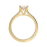 Engagement ring with oval cut moissanite or lab grown diamond solitaire four cat claw hidden halo with pave set band in yellow rose or white gold hidden double halo and pave set shank Cape Town South Africa grand diamonds ralph jacobs jeuli