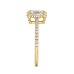 Engagement ring with oval cut moissanite or lab grown diamond solitaire four cat claw hidden halo with pave set band in yellow rose or white gold hidden double halo and pave set shank Cape Town South Africa grand diamonds ralph jacobs jeuli