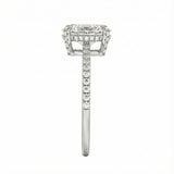 Engagement ring with oval cut moissanite or lab grown diamond solitaire four cat claw hidden halo with pave set band in yellow rose or white gold hidden double halo and pave set shank Cape Town South Africa grand diamonds ralph jacobs jeuli