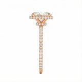 Engagement ring with oval cut moissanite or lab grown diamond solitaire four cat claw double hidden halo with pave set band in yellow rose or white gold hidden double halo and pave set shank Cape Town South Africa grand diamonds ralph jacobs jeuli