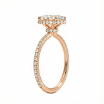 Engagement ring with oval cut moissanite or lab grown diamond solitaire four cat claw double hidden halo with pave set band in yellow rose or white gold hidden double halo and pave set shank Cape Town South Africa grand diamonds ralph jacobs jeuli