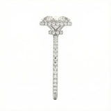 Engagement ring with oval cut moissanite or lab grown diamond solitaire four cat claw double hidden halo with pave set band in yellow rose or white gold hidden double halo and pave set shank Cape Town South Africa grand diamonds ralph jacobs jeuli