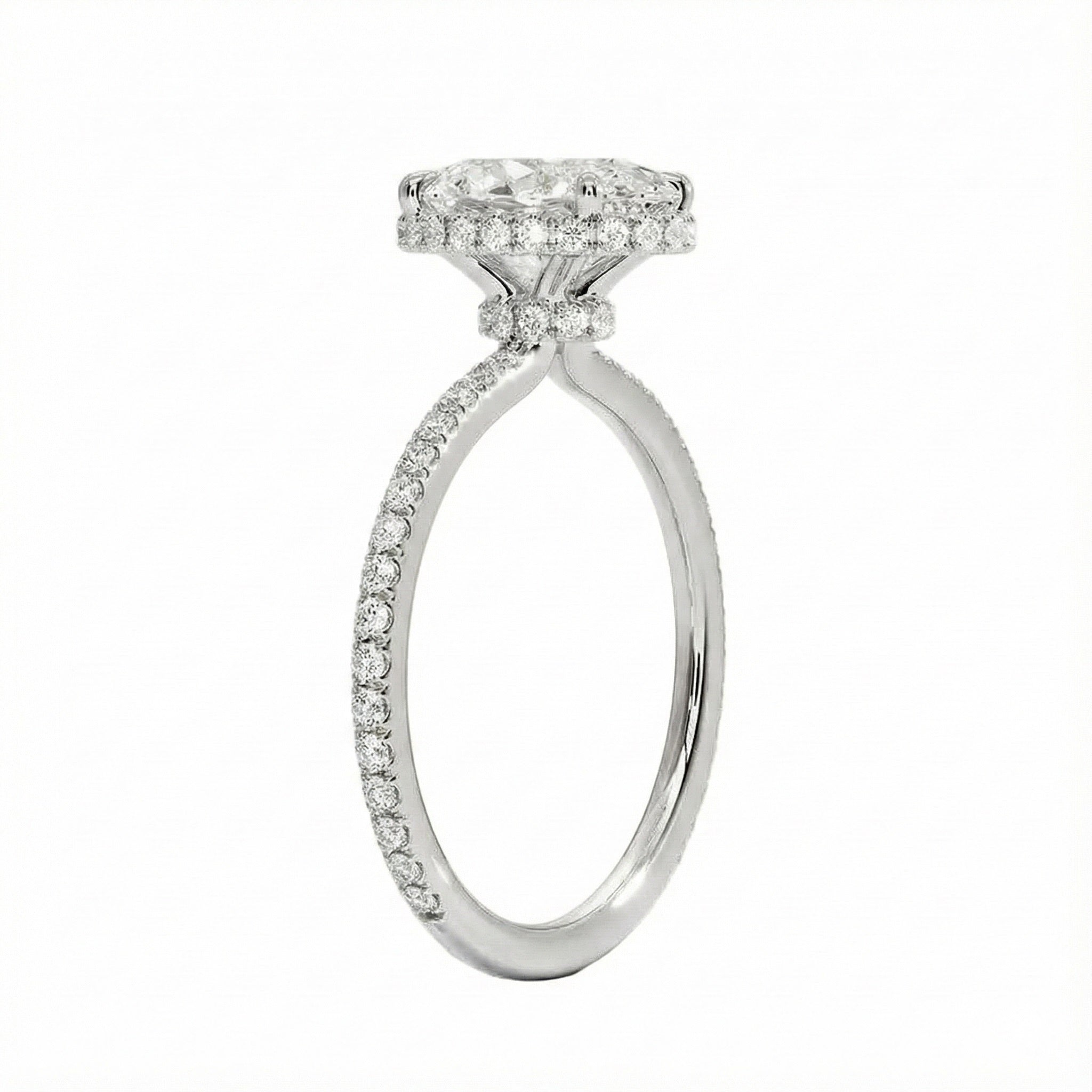 Engagement ring with oval cut moissanite or lab grown diamond solitaire four cat claw double hidden halo with pave set band in yellow rose or white gold hidden double halo and pave set shank Cape Town South Africa grand diamonds ralph jacobs jeuli