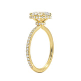 Engagement ring with oval cut moissanite or lab grown diamond solitaire four cat claw double hidden halo with pave set band in yellow rose or white gold hidden double halo and pave set shank Cape Town South Africa grand diamonds ralph jacobs jeuli