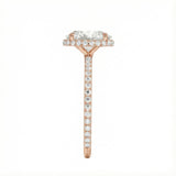 Engagement ring with oval cut moissanite or lab grown diamond solitaire four cat claw hidden halo with pave set band in yellow rose or white gold hidden double halo and pave set shank Cape Town South Africa grand diamonds ralph jacobs jeuli