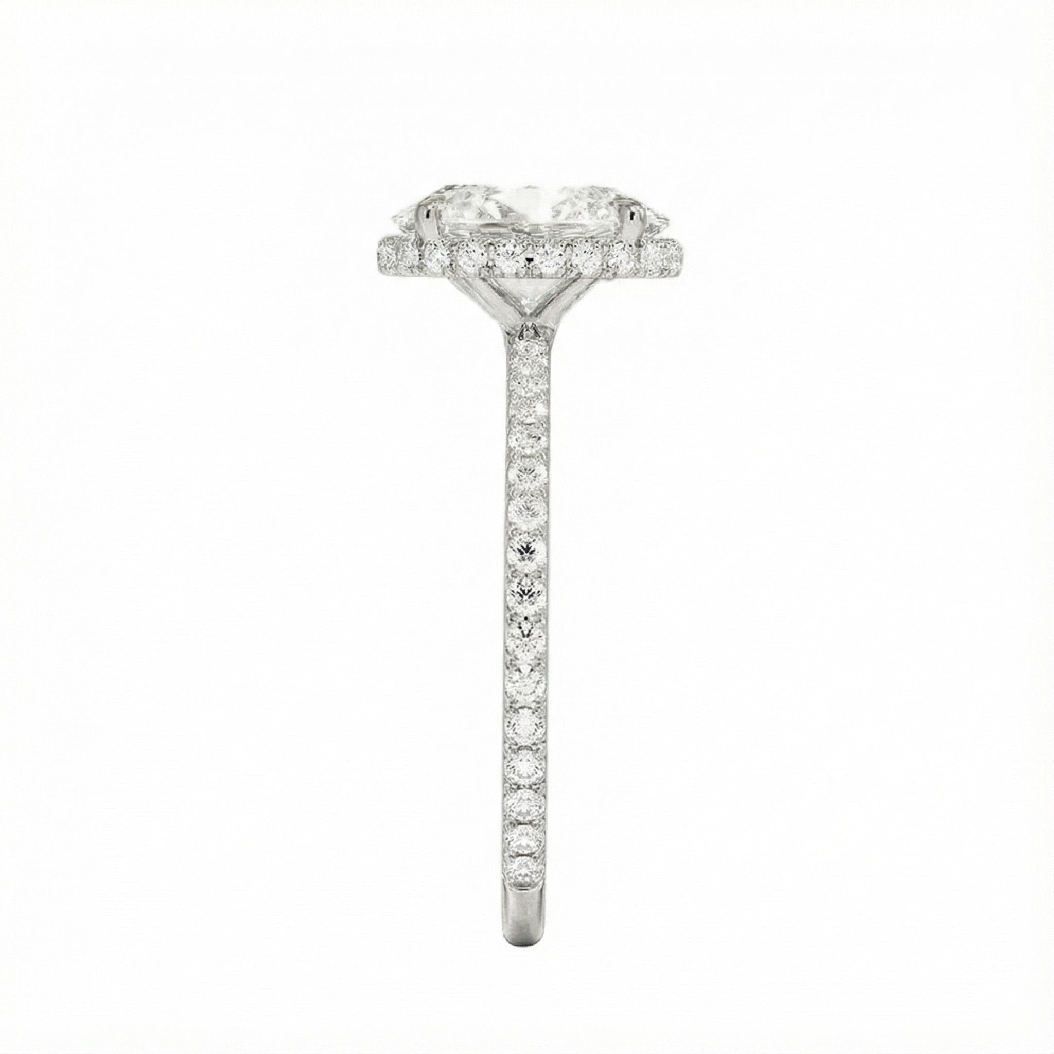 Engagement ring with oval cut moissanite or lab grown diamond solitaire four cat claw hidden halo with pave set band in yellow rose or white gold hidden double halo and pave set shank Cape Town South Africa grand diamonds ralph jacobs jeuli