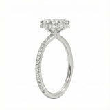 Engagement ring with oval cut moissanite or lab grown diamond solitaire four cat claw hidden halo with pave set band in yellow rose or white gold hidden double halo and pave set shank Cape Town South Africa grand diamonds ralph jacobs jeuli