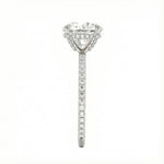 Engagement ring with round cut moissanite or lab grown diamond solitaire four cat claw  moissanite ecrasted setting yellow rose or white gold hidden halo and pave set shank Cape Town South Africa grand diamonds ralph jacobs jeuli