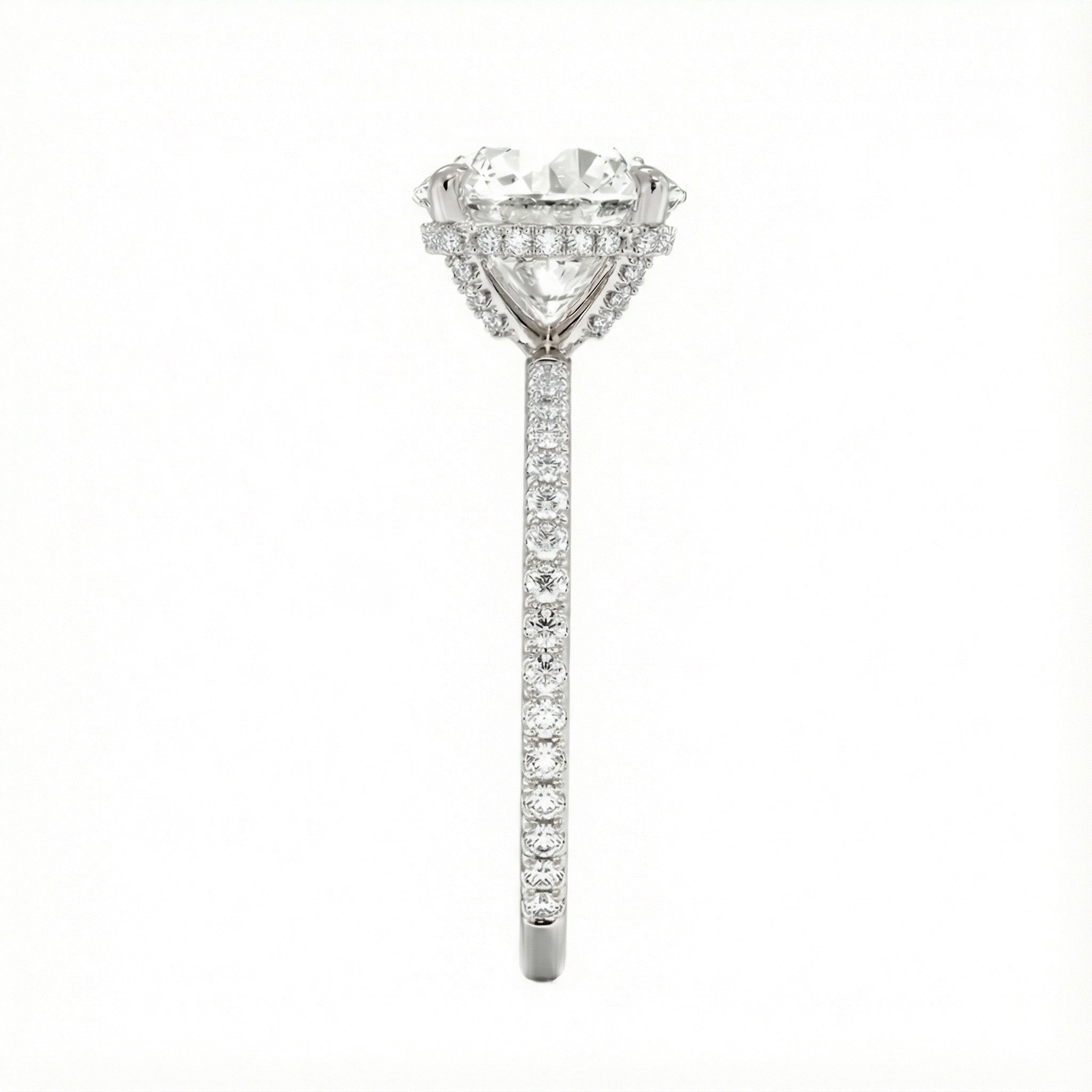 Engagement ring with round cut moissanite or lab grown diamond solitaire four cat claw  moissanite ecrasted setting yellow rose or white gold hidden halo and pave set shank Cape Town South Africa grand diamonds ralph jacobs jeuli