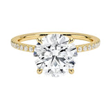 Engagement ring with round cut moissanite or lab grown diamond solitaire four cat claw  moissanite encrusted setting yellow rose or white gold hidden halo and pave set shank Cape Town South Africa grand diamonds ralph jacobs jeuli