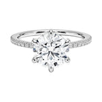 Engagement ring with round cut moissanite or lab grown diamond solitaire six cat claw setting yellow rose or white gold hidden halo wit stones encrusted claws and pave set shank Cape Town South Africa grand diamonds ralph jacobs jeuli