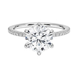 Engagement ring with round cut moissanite or lab grown diamond solitaire six cat claw setting yellow rose or white gold hidden halo wit stones encrusted claws and pave set shank Cape Town South Africa grand diamonds ralph jacobs jeuli