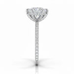 Engagement ring with round cut moissanite or lab grown diamond solitaire six cat claw setting yellow rose or white gold hidden halo wit stones encrusted claws and pave set shank Cape Town South Africa grand diamonds ralph jacobs jeuli