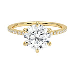 Engagement ring with round cut moissanite or lab grown diamond solitaire six cat claw setting yellow rose or white gold hidden halo wit stones encrusted claws and pave set shank Cape Town South Africa grand diamonds ralph jacobs jeuli