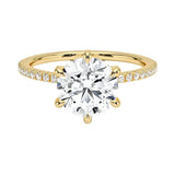 Engagement ring with round cut moissanite or lab grown diamond solitaire six cat claw setting yellow rose or white gold hidden halo wit stones encrusted claws and pave set shank Cape Town South Africa grand diamonds ralph jacobs jeuli