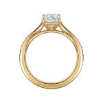 Cathedral setting ring side view emerald cut moissanite channel details close up