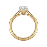 Cathedral setting ring side view emerald cut moissanite channel details close up