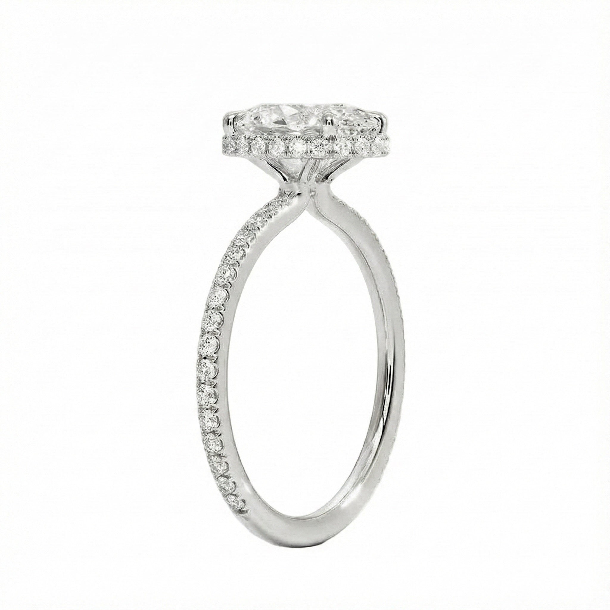 Side profile of a white gold engagement ring featuring double hidden halos and diamond-encrusted cat claws.