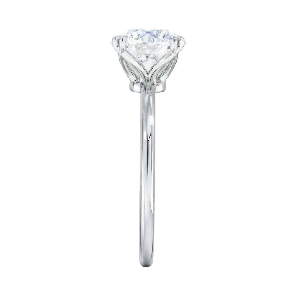Symmetrical top-down view of a round moissanite solitaire in a secure white gold setting.